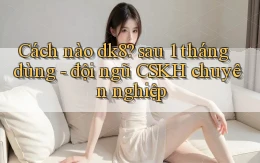 Cách nào dk8 sau 1 tháng dùng   đội ngũ CSKH chuyên nghiệp