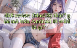 dk8 review (MacOS) thật giải mã trên Android 14 wild là gì